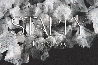 Salty Design Co. branding design graphic design logo typography western