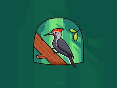 Woodpecker bird forest illustration logo vector woodpecker