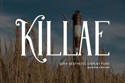 Killae Serif Aesthetic Display Font animation blackletter font branding design font fonts graphic design illustration logo nostalgic serif font ui