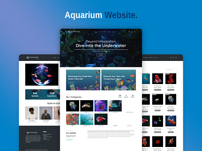 Aquarium Theme Template branding design ecommerce illustration ui web design website design website template woocommerce wordpress