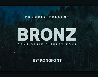 Bronz - Modern Sans Serif Font branding design font handwritten illustration italic logotype script typeface ui