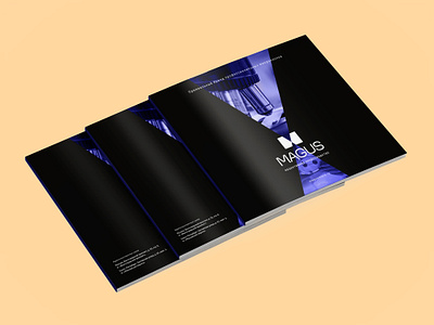 Брошюра для бренда профессиональных микроскопов MAGUS, 2023 brochure design leaflet design