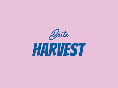 Brite Harvest Brand Design brand design branding created with ai design design for sale graphic design illustration logo vector visual identity