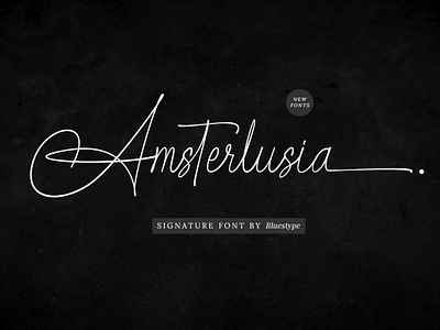 Amsterlusia - Signature Fonts branding font calligraphy design font design fonts free font hello dribbble illustration logo modern font sign font signature type typography