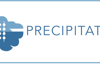 PRECIPITATIO - CLOUD COMPUTING LOGO/ DAILY LOGO CHALLENGE PROMPT cloud cloud computing dailylogochallenge logo prompt