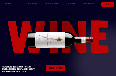 Wines branding design graphic design landing page ui uiux wine