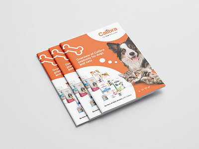 Product Overview Brochure - Calibra branding graphic design