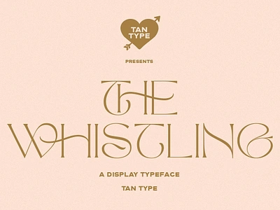 TAN The Whistling Free Download 60s font 70s font 70s retro 70s vintage display font elegant font fashion font feminine logo font luxury font magazine font modern serif retro font serif typeface stylish font trendy font vintage font wedding font wedding invitation font