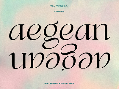 TAN AEGEAN Free Download classic font classic serif display serif display type edgy font fashion fashion font fashionable font hipster font modern typography retro font serif serif typeface unique font