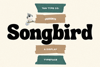 TAN SONGBIRD Free Download bold font display font display type funky font groovy font groovy retro font mid century mid century modern mid century modern font modern font retro type vintage font vintage type