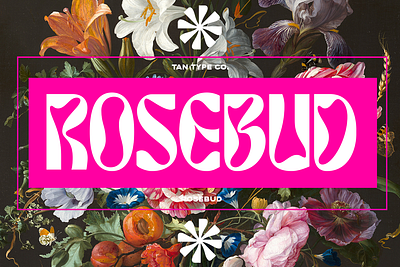 TAN ROSEBUD Free Download 60s 60s font 70s 70s font 70s retro groovy groovy font groovy retro font modern font psychedelic font quirky letters retro font vintage font