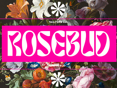 TAN ROSEBUD Free Download 60s 60s font 70s 70s font 70s retro groovy groovy font groovy retro font modern font psychedelic font quirky letters retro font vintage font