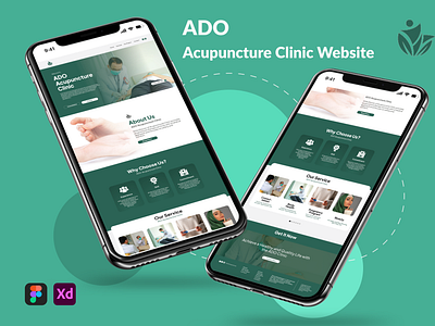 Acupuncture Clinic Website Design & Management branding design graphic design landingpage redesign ui ux