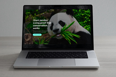 Paginated Banner About Animal animal animation branding pagination ui