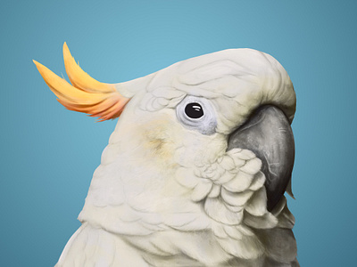 Digital painting - Citron-crested cockatoo animal clip clip studio paint digital drawing illustration painting