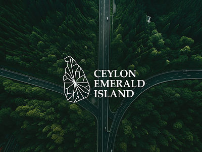 Ceylon Emerald Island: A Visionary Logo and Branding Design 3d animation branding design graphic design logo logo design modern logo motion graphics new trend ui