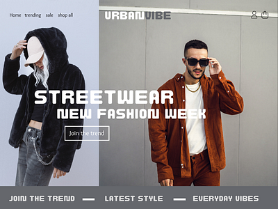 Streetwear - Shopify store design shopify store design web design website design