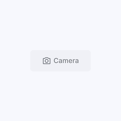 📷️ Camera micro-interaction animated animation camera icons interaction mico interaction mingcute motion motion graphics