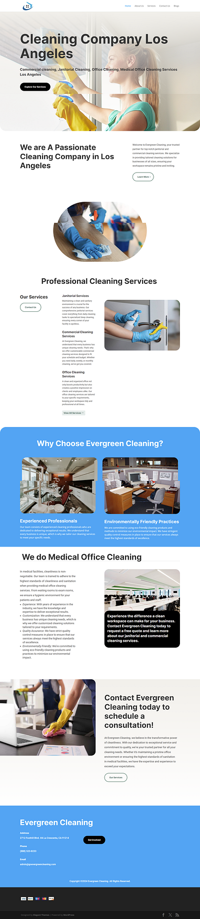 Evergreen Cleaning Website Design website design