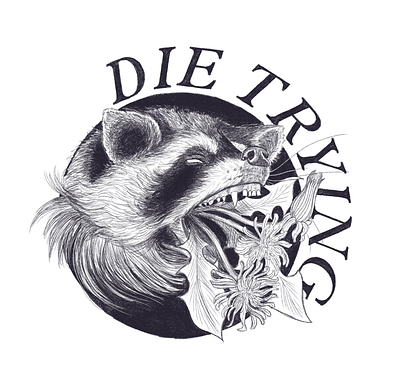 Die Trying drawing illustration lett lettering pencil pencil drawing raccoon type