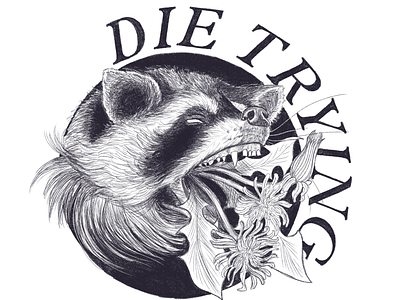 Die Trying drawing illustration lett lettering pencil pencil drawing raccoon type