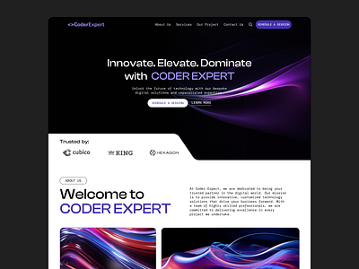 Futuristic Developer Website Landing Page branding coding company company profile design developer developer studio futuristic homepage interface landing page minimalism services ui user interface web web design website website design