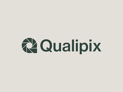 Quality Pictures brand design brand identity branding creative logo graphic design logo logo mark logodesign photography vector
