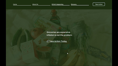 Design for Advocacy ui web design website