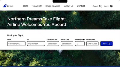 Designing an Inclusive Flight Experience :) airline design flight research ui ux website