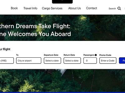 Designing an Inclusive Flight Experience :) airline design flight research ui ux website