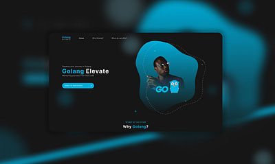 Golang Course Interface Single Page black button color course dark form go golang lading page logo page single page site ui web website