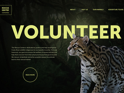 Rescue Center – main screen concept main screen ui web design