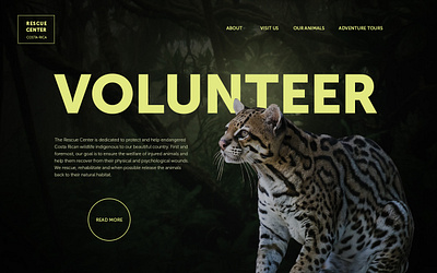 Rescue Center – main screen concept main screen ui web design