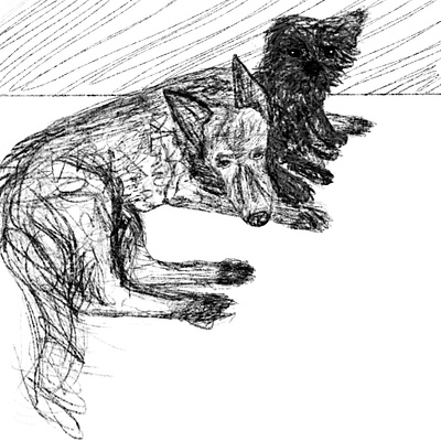 Two Friends blackandwhite dog dogs illustration monochromatic monochrome procreate sketch