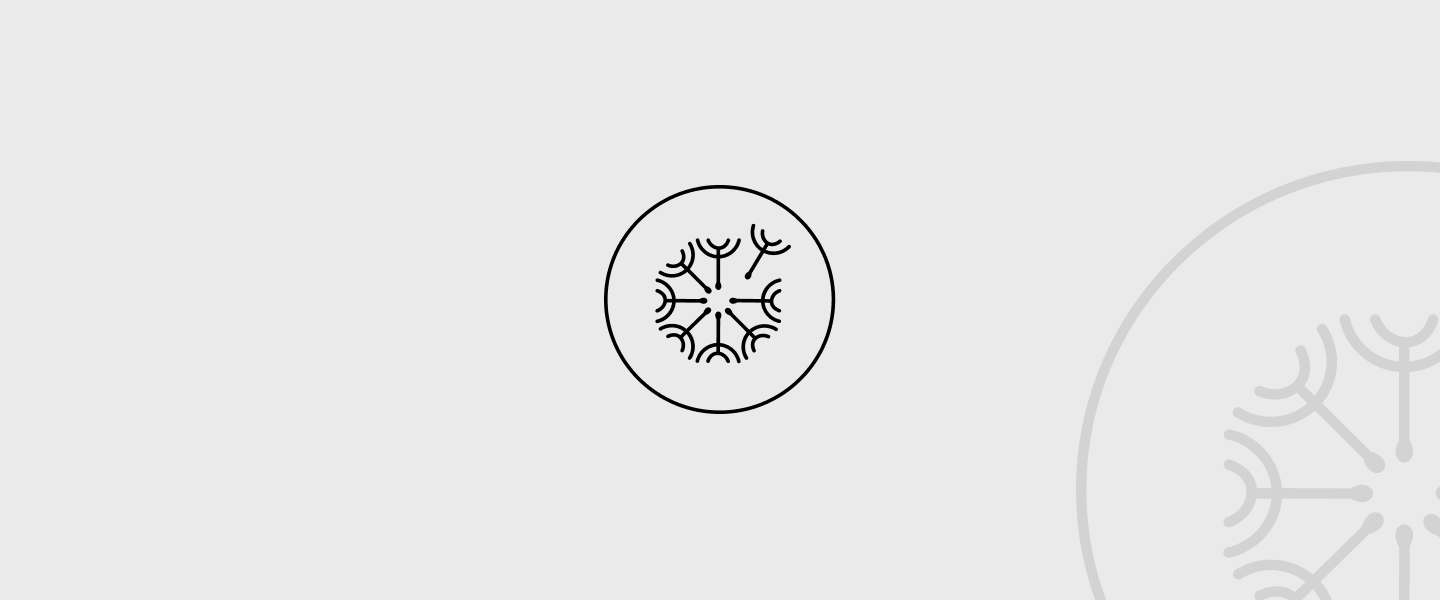 logo animation in adobe after effects adobe aftereffects animation branding logo motion design motion graphics