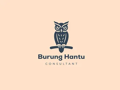 Wise Owl Burung Hantu Consultant Logo branding consultingfirm graphic design logo