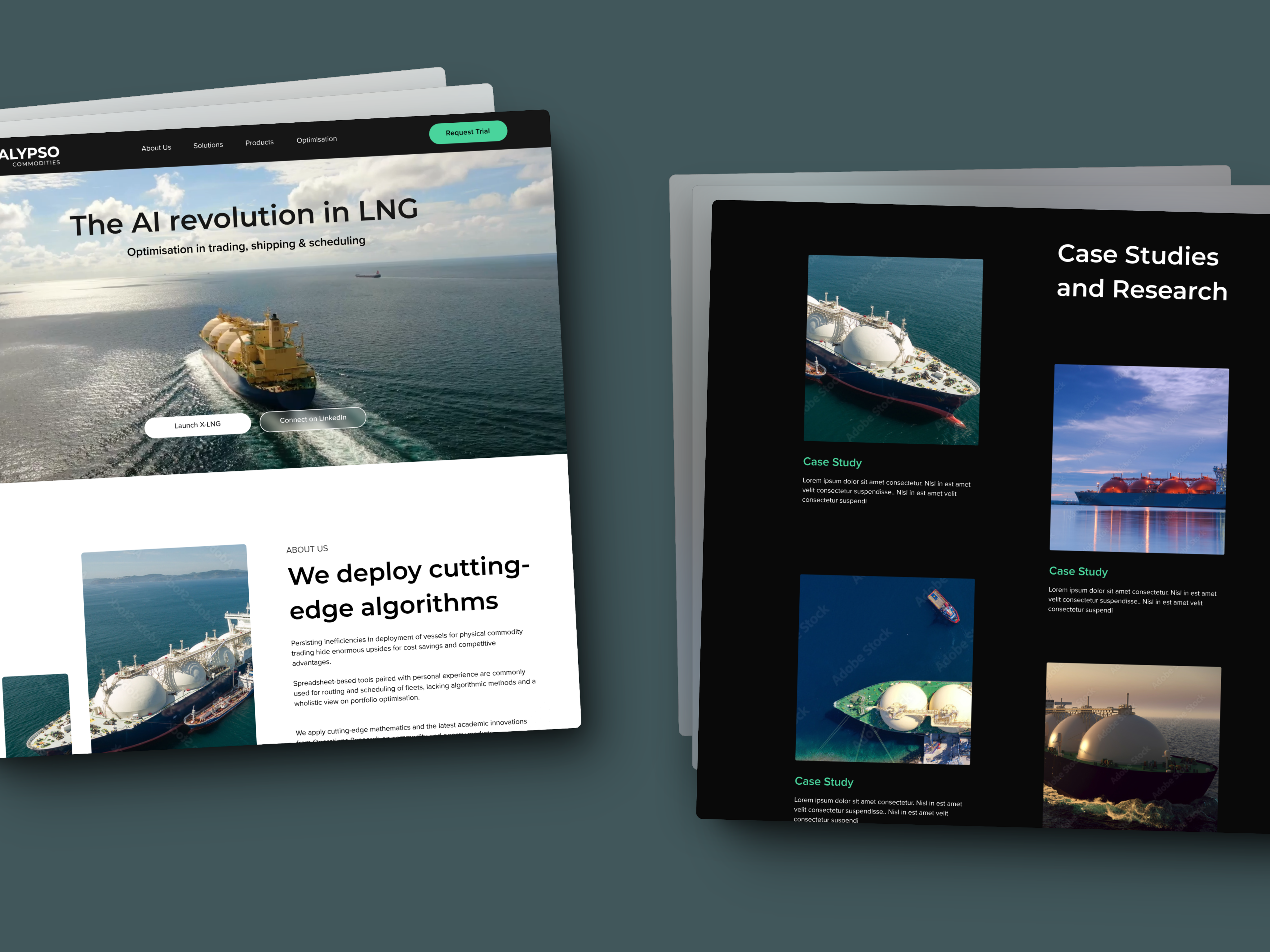 Example of Full Website Design + Webflow Build
