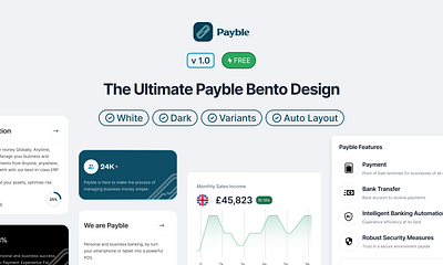 Payble Payment Bento app bento branding design graphic design illustration logo payble payment typography ui ux vector