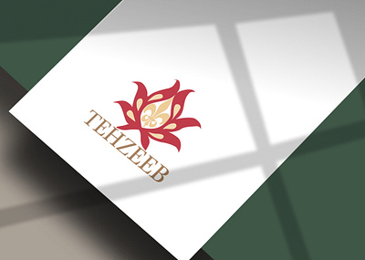 Tehzeeb Logo branding graphic design logo