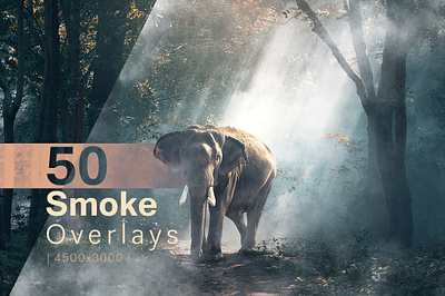 Smoke Overlays action black color dust fog overlay jpeg magic overlays photo photo effect photo fx sandstorm smoke overlays