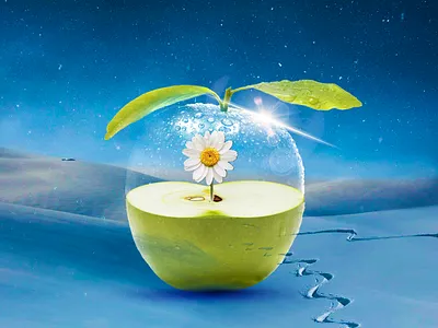 Glass Apple graphic design photo manipulation photoshop