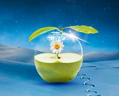 Glass Apple graphic design photo manipulation photoshop