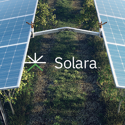 Solara: Brand Identity branding graphic design green tech logo