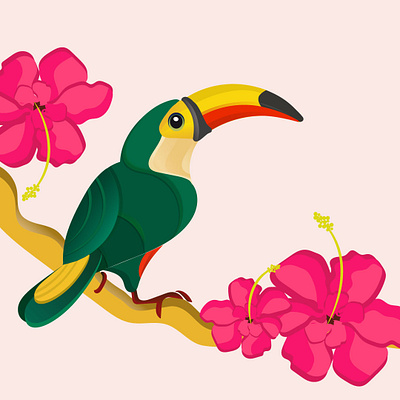 Taucan Bird Illustration branding design digital digital art graphic design illstration illustrator