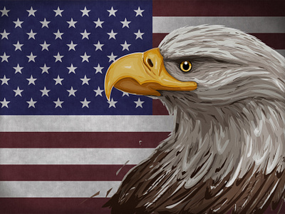 Bald eagle & Flag of USA america bald eagle bird bird of prey flag stars and stripes usa