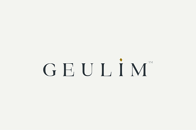 Geulim LTD Logo branding design graphic design logo typography vector