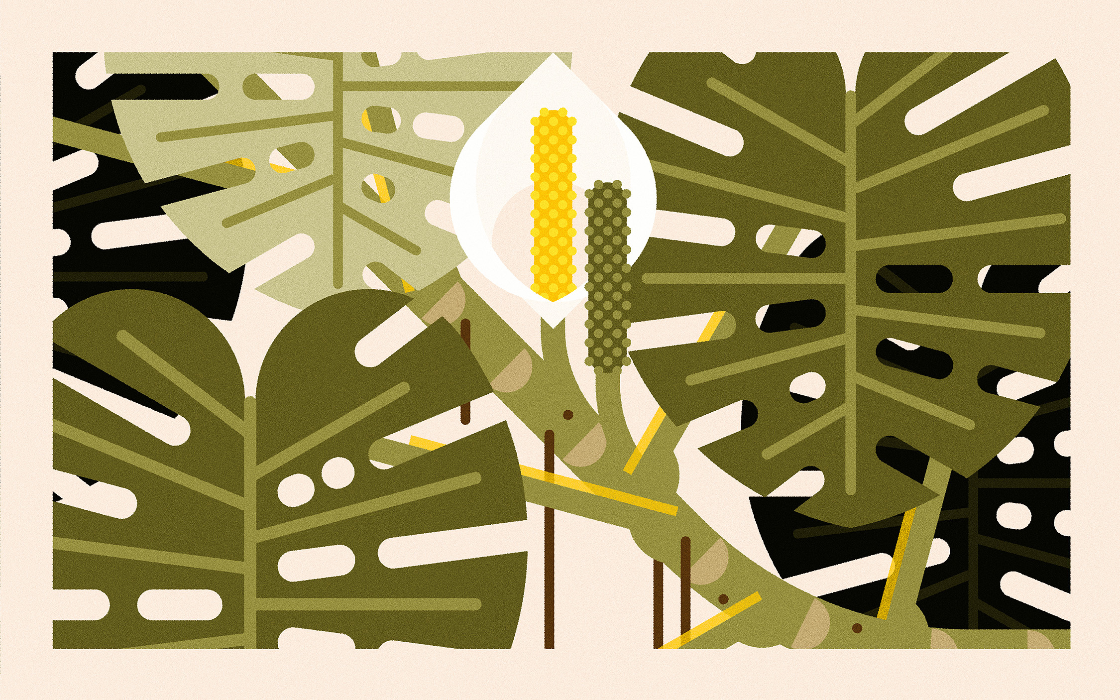 Monstera Deliciosa (2024) branding design floral illustration minimal illustration nature vector wildlife