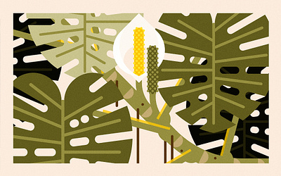 Monstera Deliciosa (2024) branding design floral illustration minimal illustration nature vector wildlife