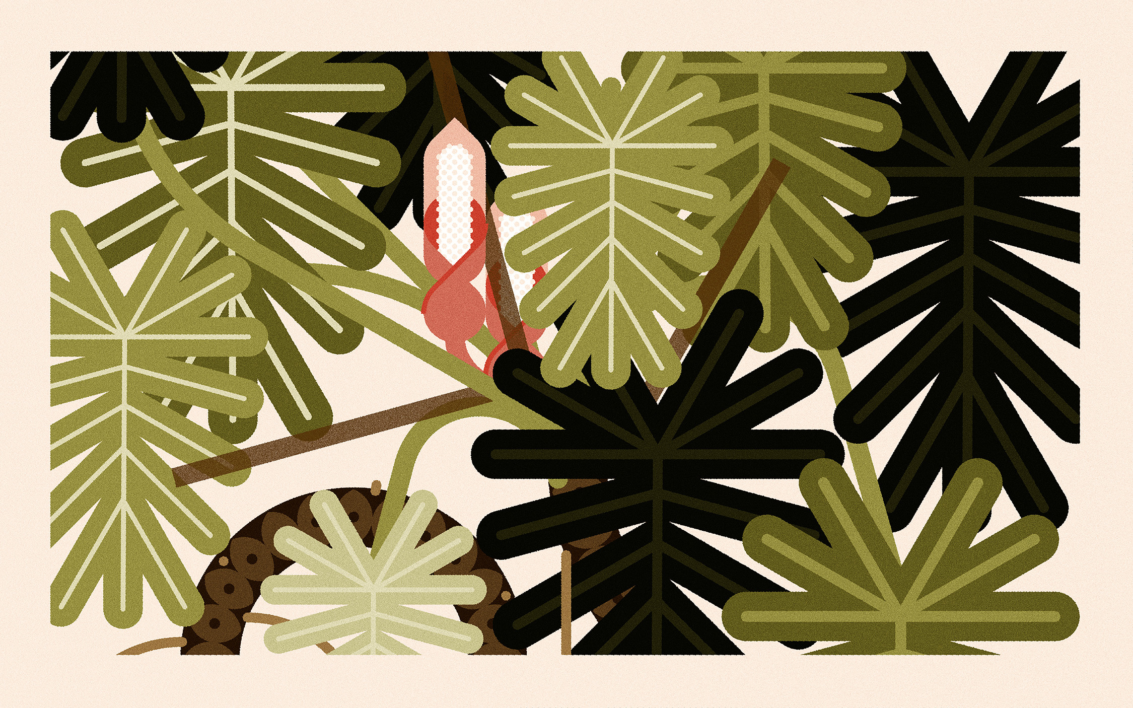 Thaumatophyllum Xanadu (2024) branding design floral illustration minimal illustration nature vector wildlife