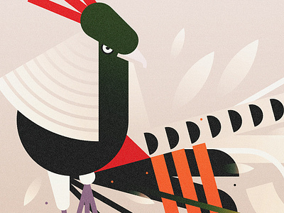STRUT, Lady Amherst's Pheasant (2024) branding design illustration minimal illustration nature vector wildlife